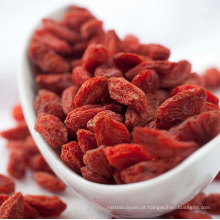 Vitamina fresca Goji Berry EU certificado